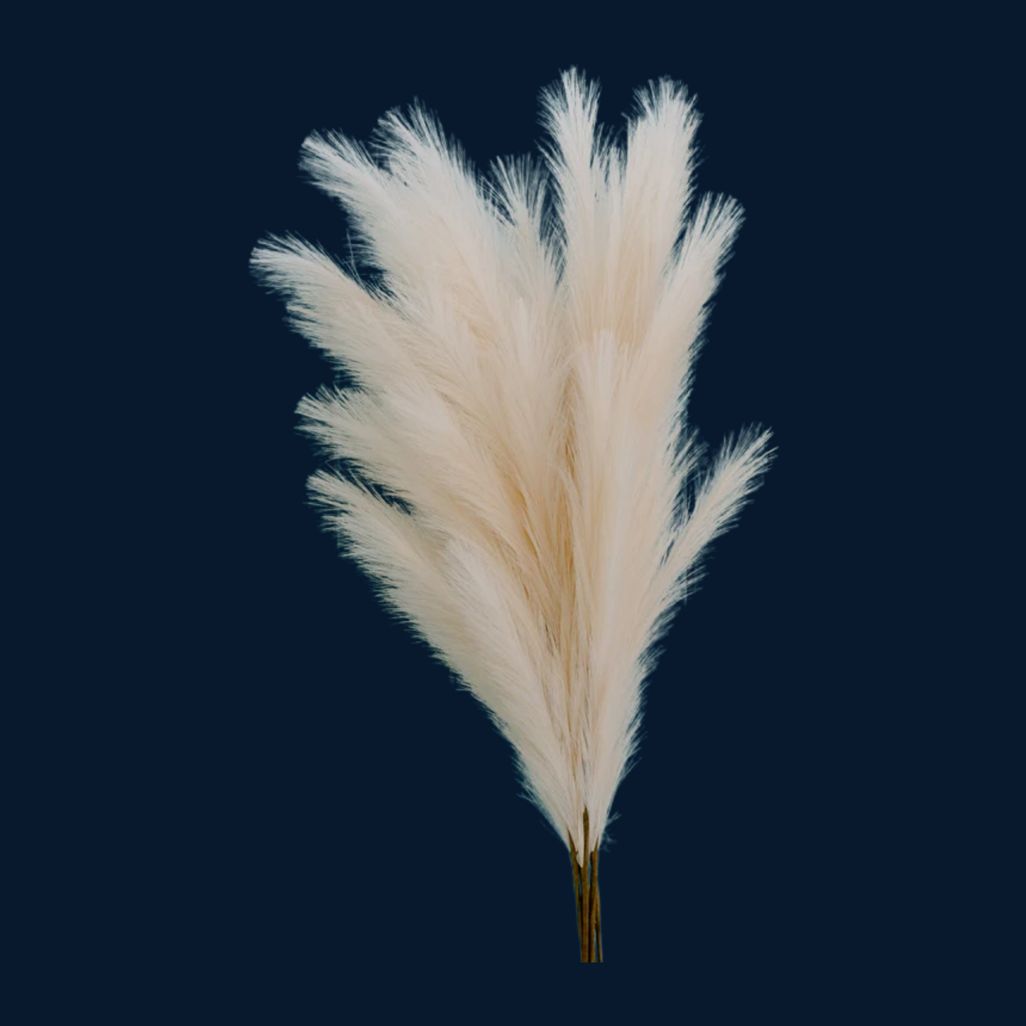 Pampas Grass Artificial White