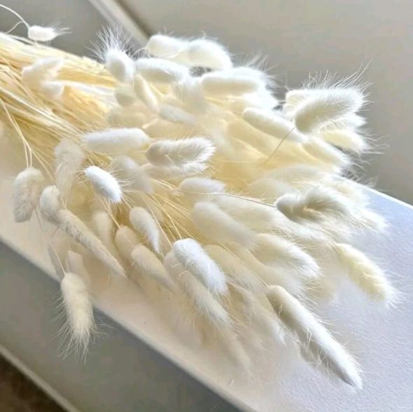 Bunny Tails (HIRE ITEM) (Bunch of 5)
