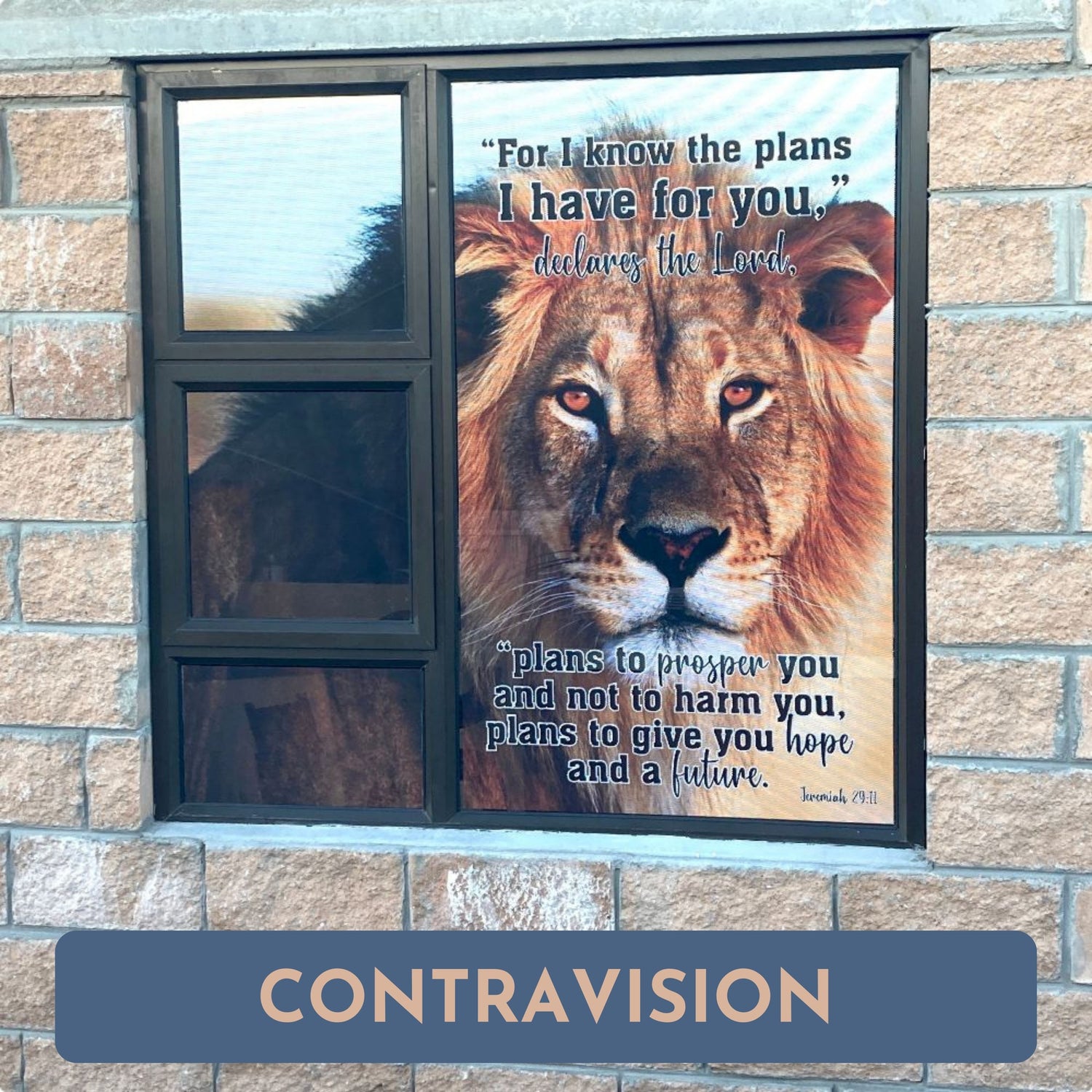 Contravision
