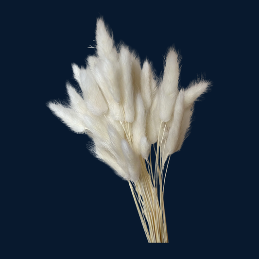 Bunny Tails (HIRE ITEM) (Bunch of 5)