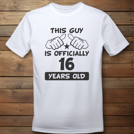 T-shirt - This Guy is 16